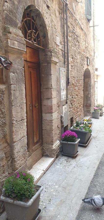 B&B Serena Perugia Dış mekan fotoğraf